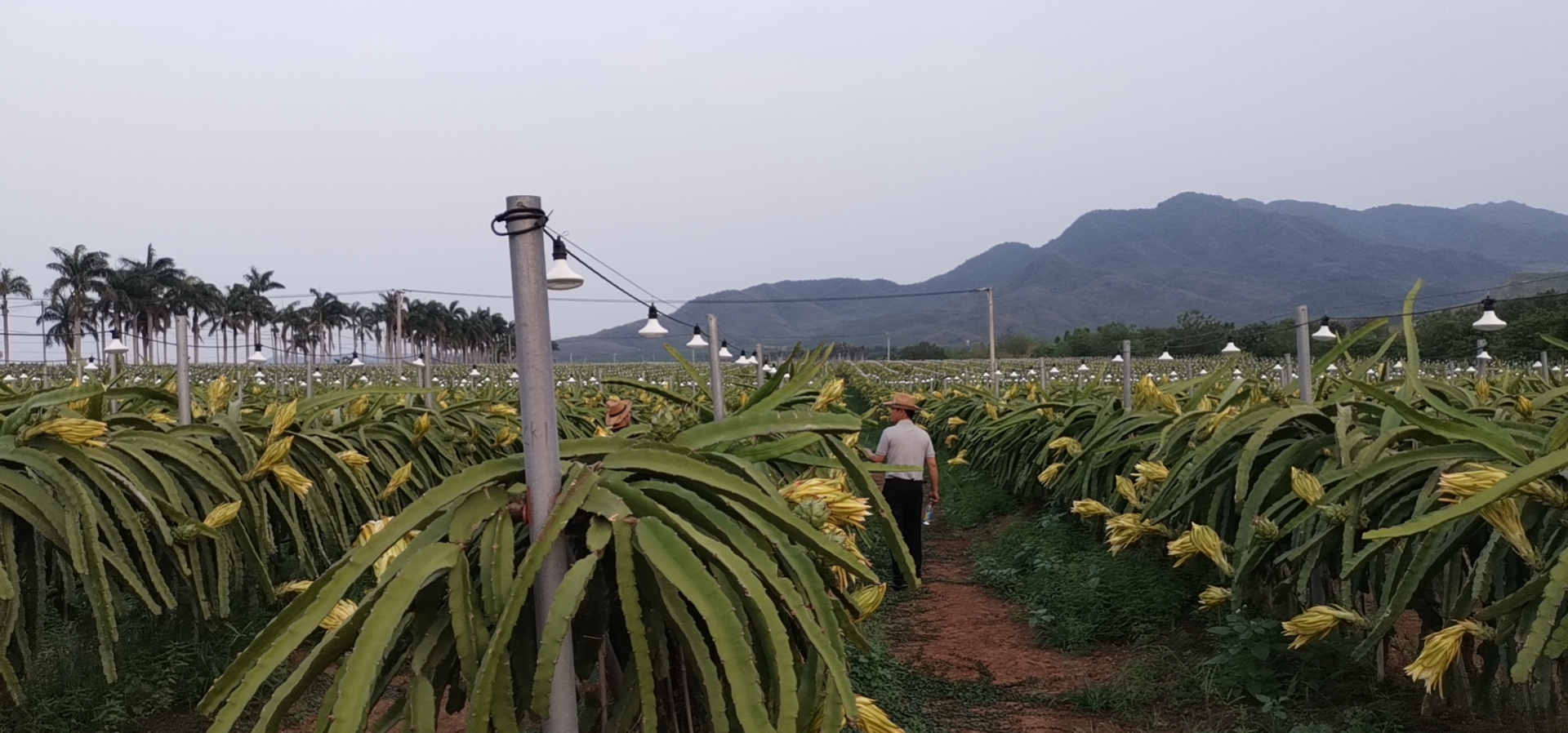 河南省土壤调理与修复工程技术研究中心 河南省土壤调理与修复工程技术研究中心