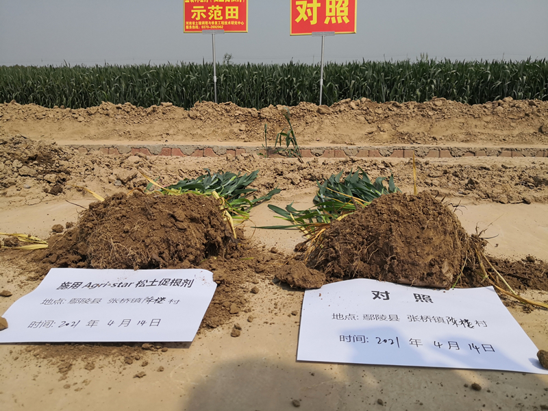 河南省土壤调理与修复工程技术研究中心 河南省土壤调理与修复工程技术研究中心