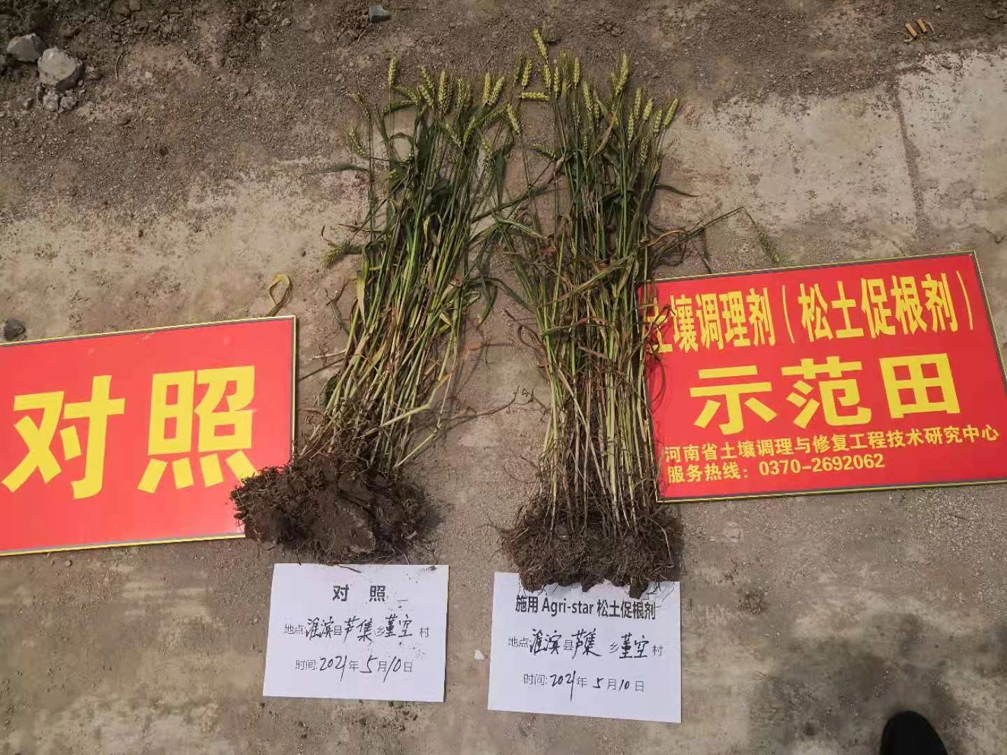 河南省土壤调理与修复工程技术研究中心 河南省土壤调理与修复工程技术研究中心