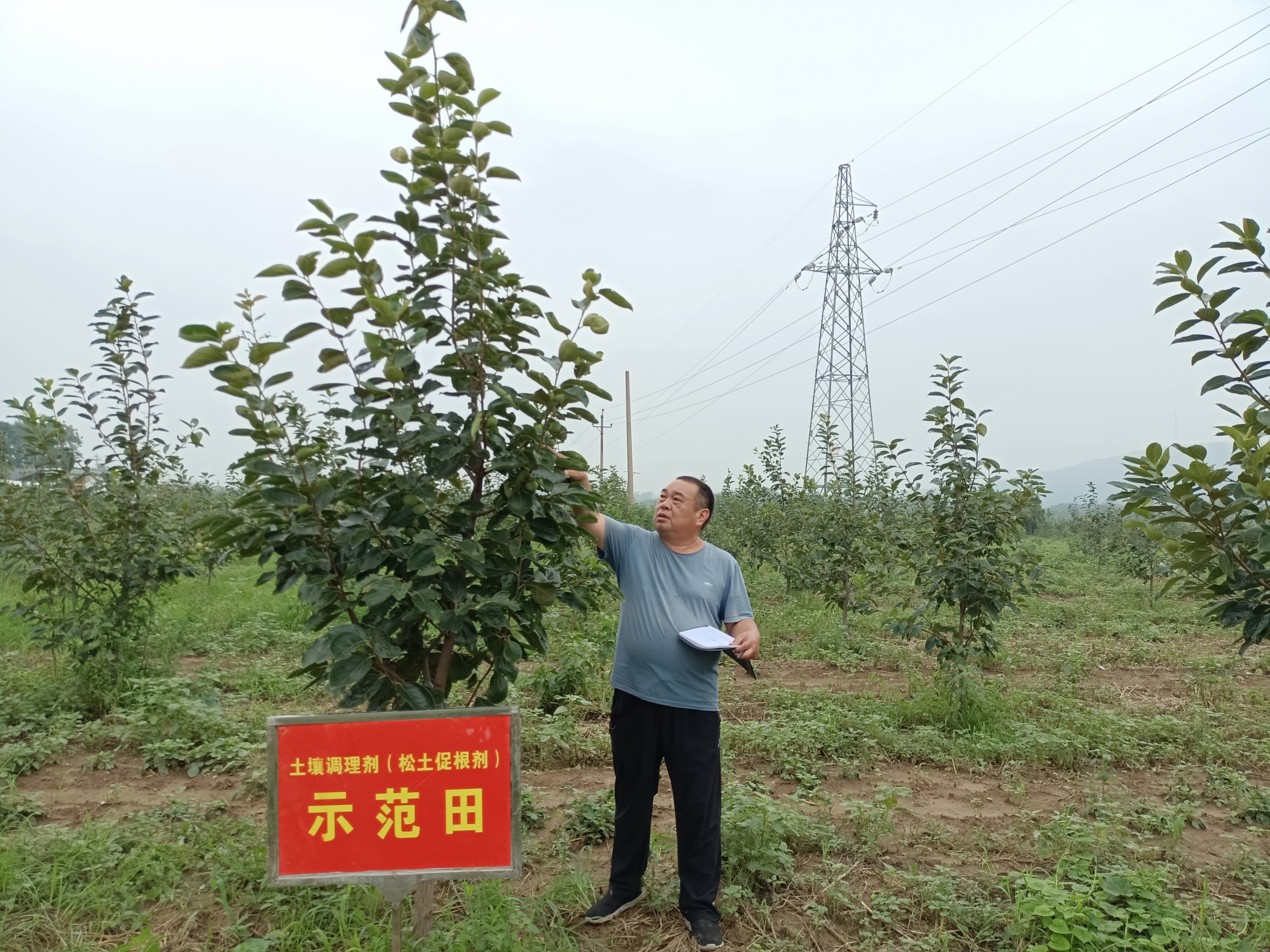 <b>土壤修复和耕地质量提升，粮食产量才能连年提高！</b>