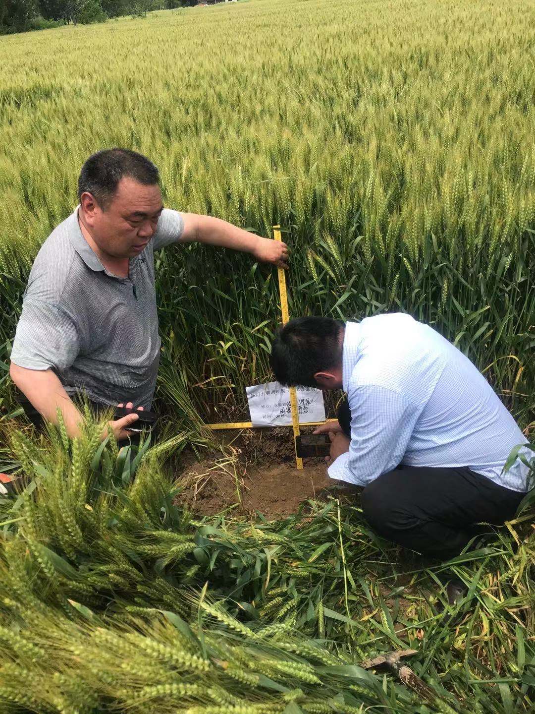 河南省土壤调理与修复工程技术研究中心 河南省土壤调理与修复工程技术研究中心