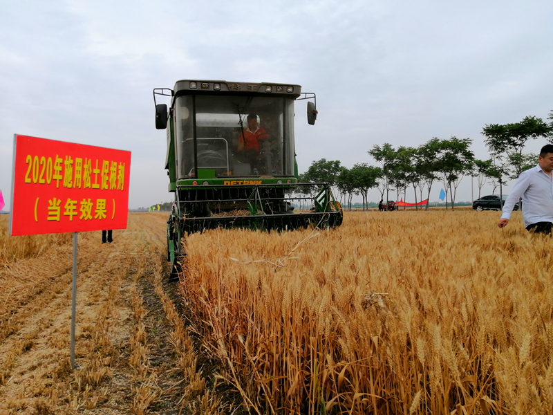 <b>快讯：安徽小麦应用松土促根技术机收实打增产幅度达23.1%！</b>