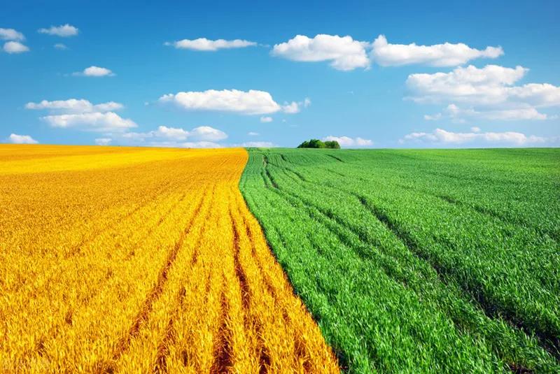 <b>最新！财政部、农业农村部发布2021年重点强农惠农政策</b>