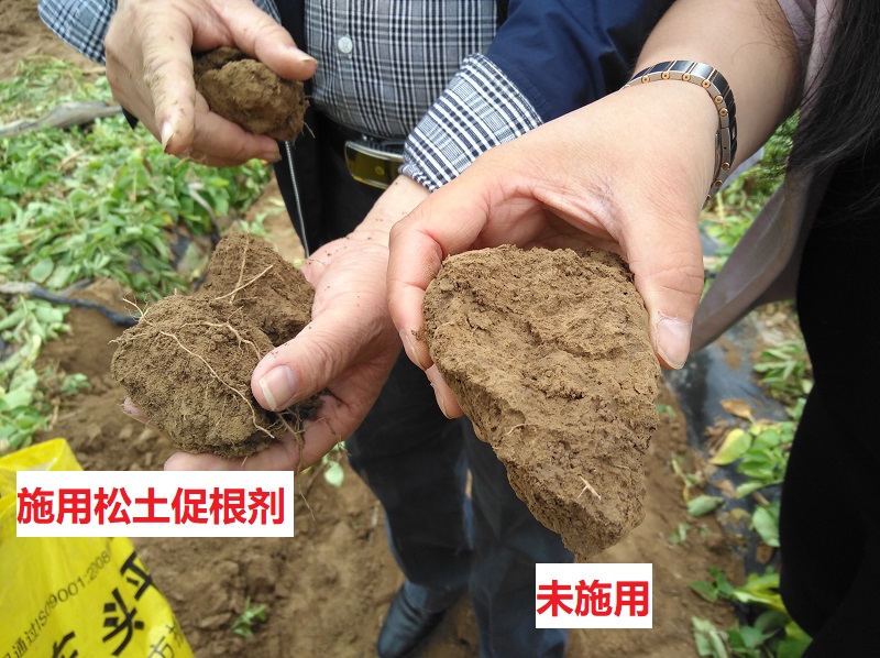 河南省土壤调理与修复工程技术研究中心 河南省土壤调理与修复工程技术研究中心
