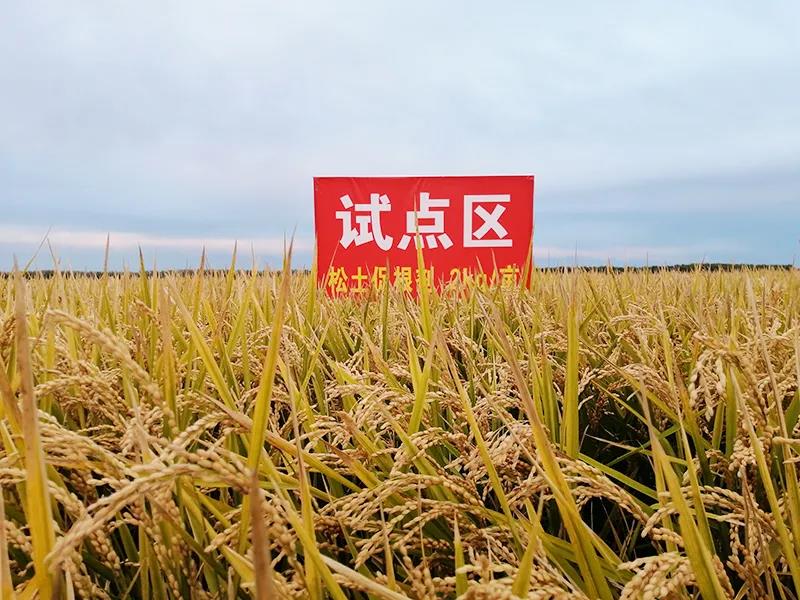 聚焦要害短板　加快推动农业科技进步——农业农村部科技教育司负责人就《“