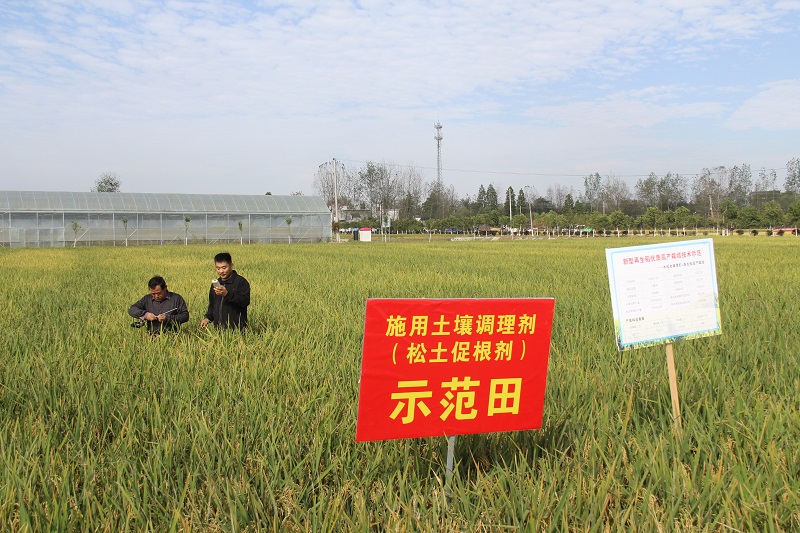 <b>【新思想引领新征程】稳住农业基本盘 稳步提升粮食供给能力</b>