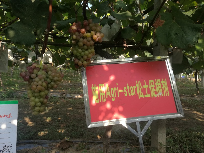 河南省土壤调理与修复工程技术研究中心 河南省土壤调理与修复工程技术研究中心