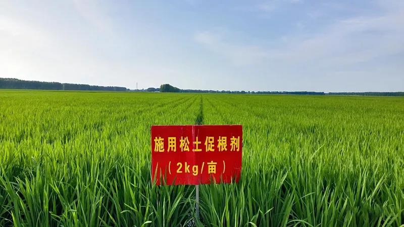 河南省土壤调理与修复工程技术研究中心