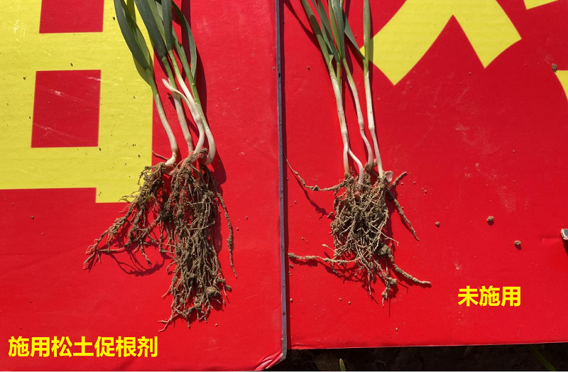 河南省土壤调理与修复工程技术研究中心 河南省土壤调理与修复工程技术研究中心