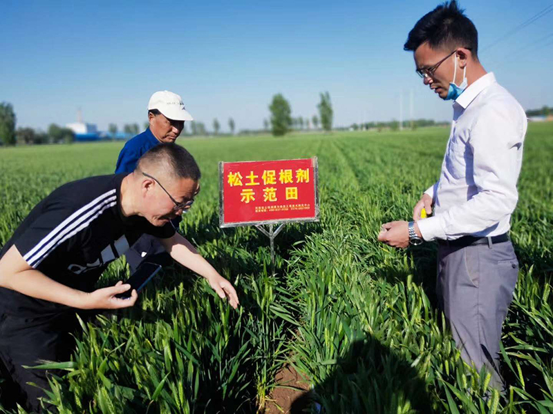 <b>积极探索中国特色农业现代化发展之路 ——农业农村部负责人就推进农业现代</b>