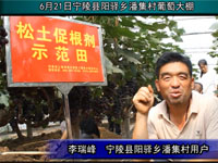宁陵葡萄李瑞峰用户