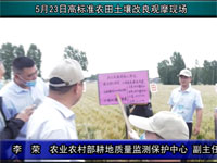 李荣修武坑对比耕层深度