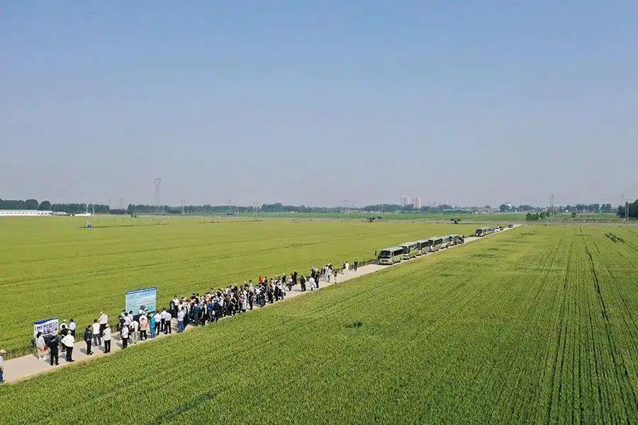 土壤调理剂全面解析：从科学原理到精准应用指南