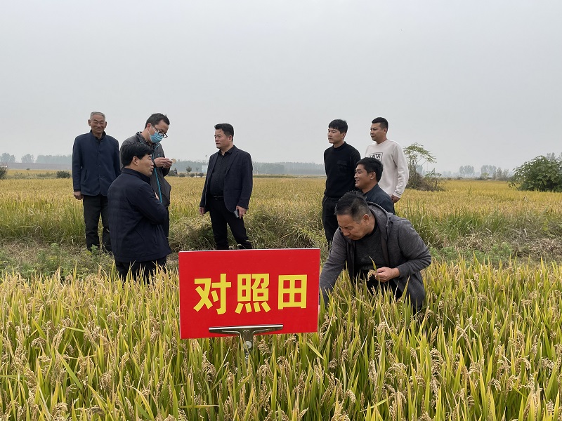<b>加强耕地质量建设与保护 保障国家粮食与生态安全 —— 写在第8个“世界土壤</b>